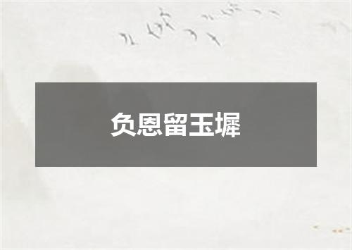 负恩留玉墀