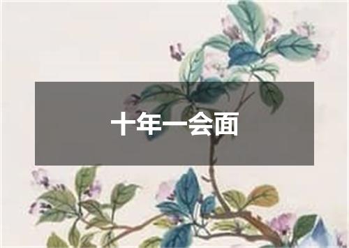 十年一会面