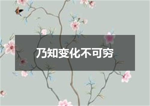 乃知变化不可穷