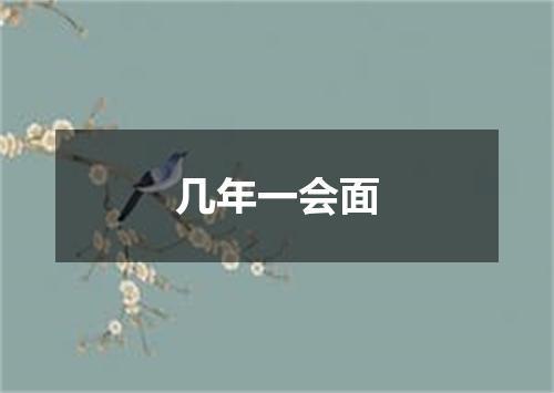 几年一会面