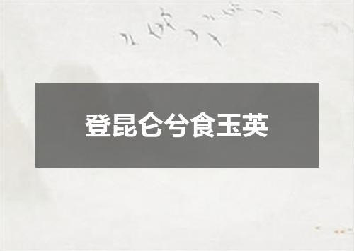 登昆仑兮食玉英