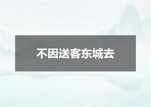 不因送客东城去