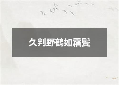 久判野鹤如霜鬓
