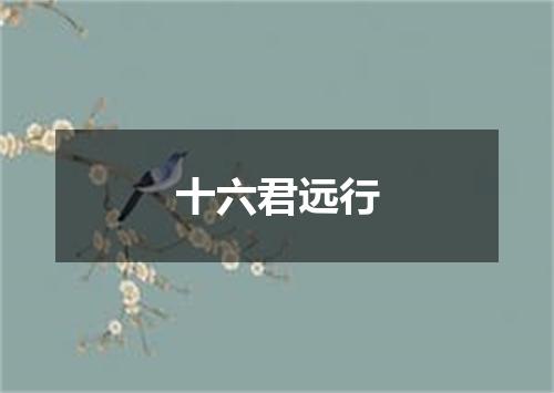 十六君远行
