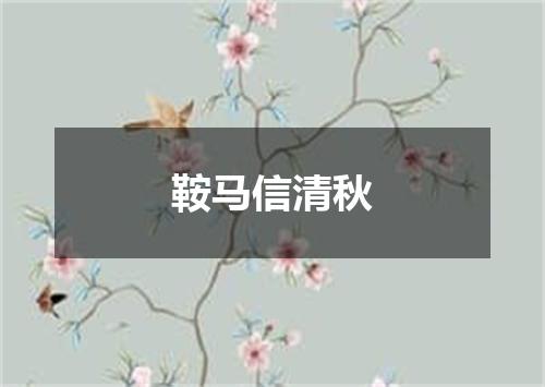 鞍马信清秋