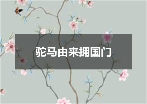 驼马由来拥国门