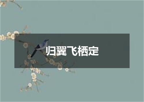 归翼飞栖定