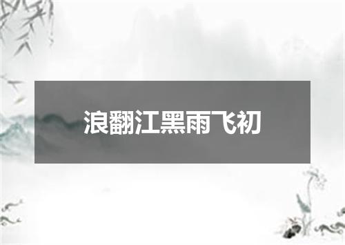 浪翻江黑雨飞初