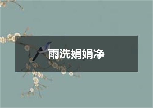 雨洗娟娟净