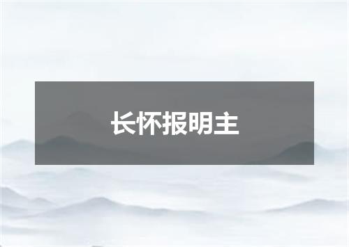 长怀报明主
