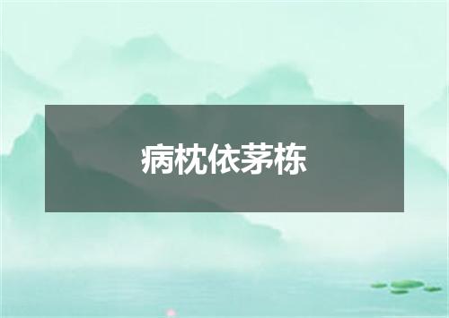 病枕依茅栋