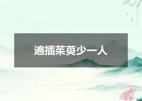 遍插茱萸少一人
