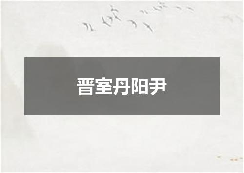 晋室丹阳尹
