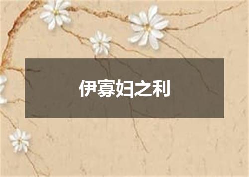 伊寡妇之利