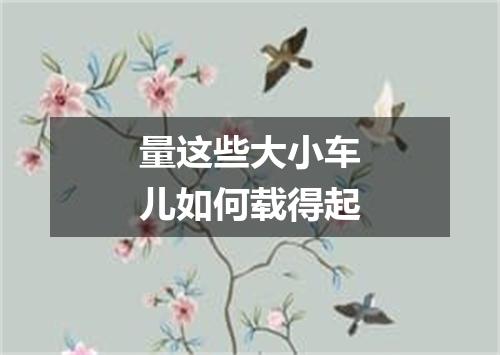 量这些大小车儿如何载得起