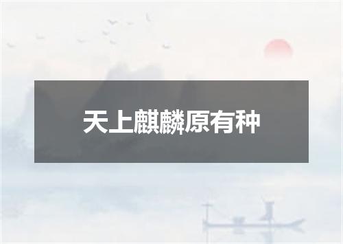 天上麒麟原有种