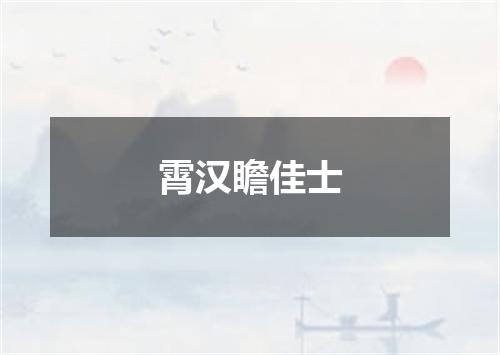 霄汉瞻佳士