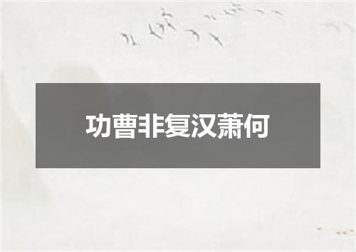 功曹非复汉萧何