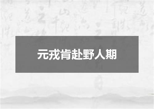 元戎肯赴野人期