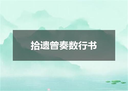 拾遗曾奏数行书