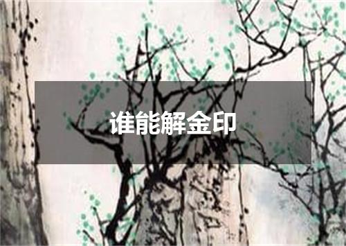 谁能解金印