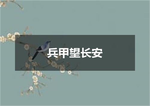 兵甲望长安
