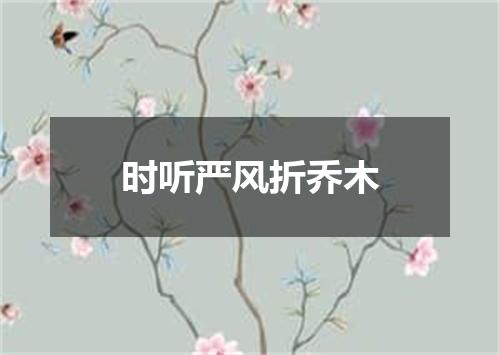 时听严风折乔木