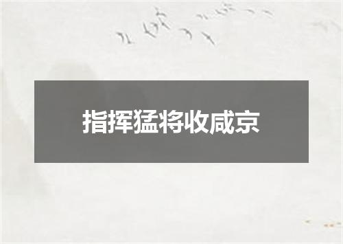 指挥猛将收咸京