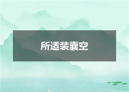 所适装囊空