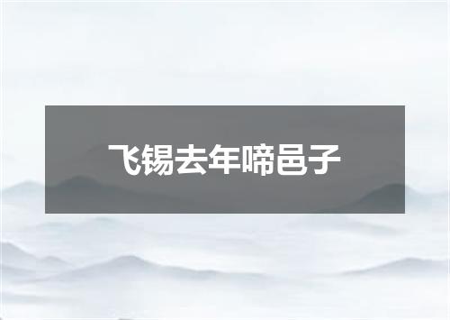 飞锡去年啼邑子