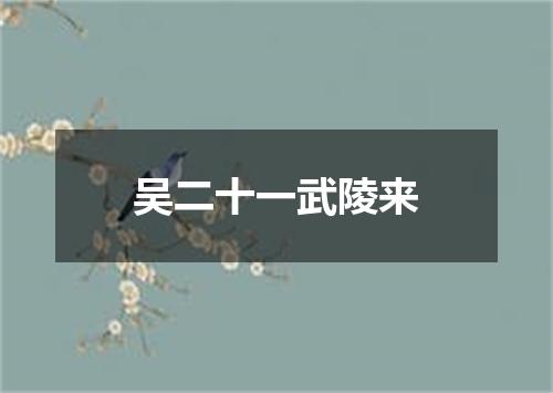 吴二十一武陵来