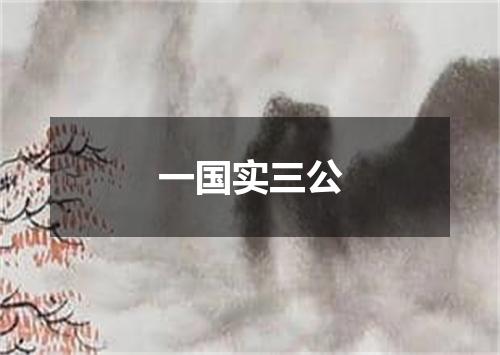 一国实三公