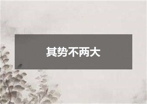 其势不两大