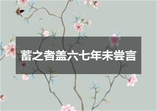 蓄之者盖六七年未尝言