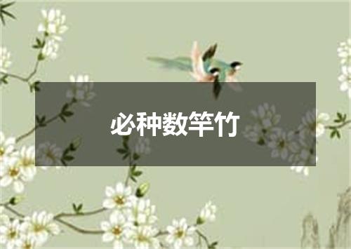 必种数竿竹