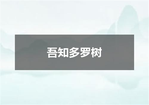 吾知多罗树