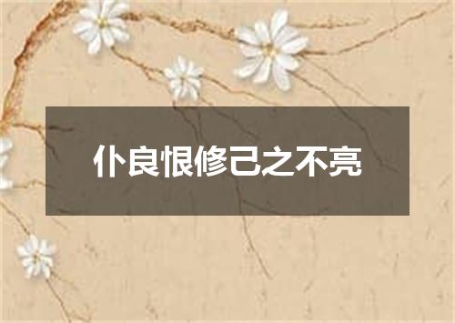 仆良恨修己之不亮