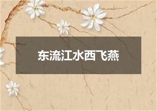 东流江水西飞燕