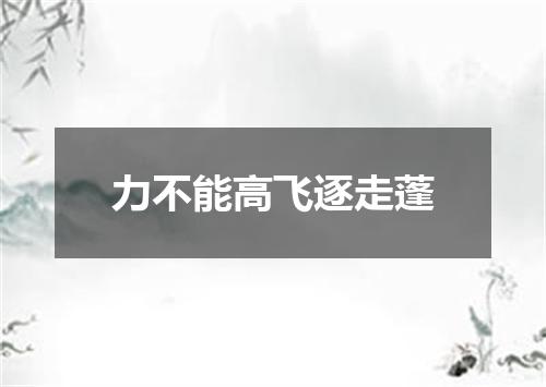力不能高飞逐走蓬