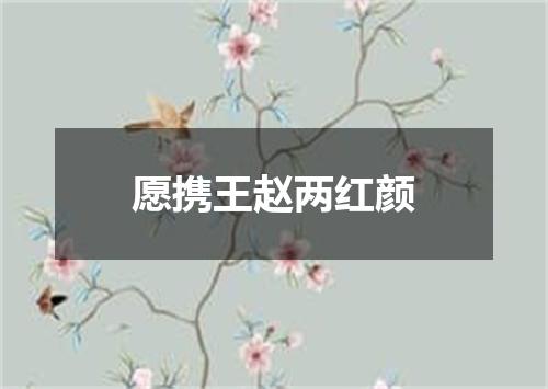 愿携王赵两红颜