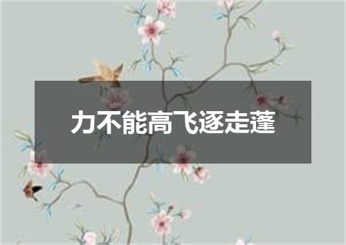 力不能高飞逐走蓬