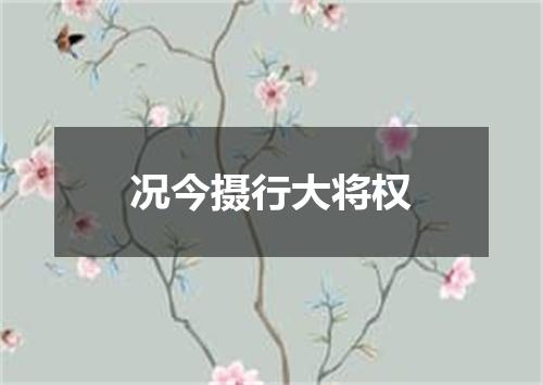 况今摄行大将权