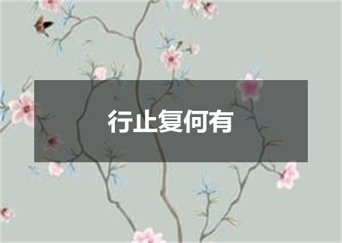 行止复何有
