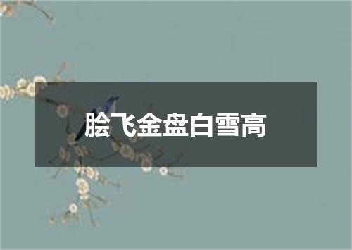 脍飞金盘白雪高