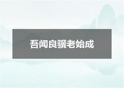 吾闻良骥老始成