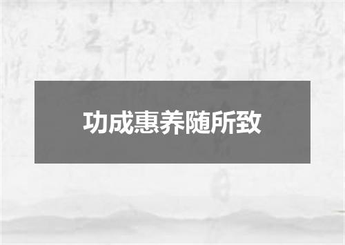 功成惠养随所致