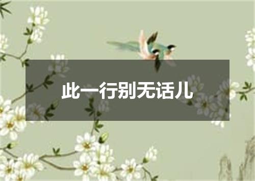 此一行别无话儿