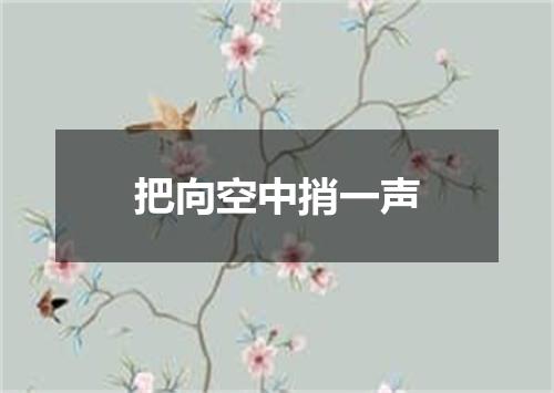把向空中捎一声