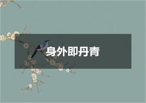 身外即丹青