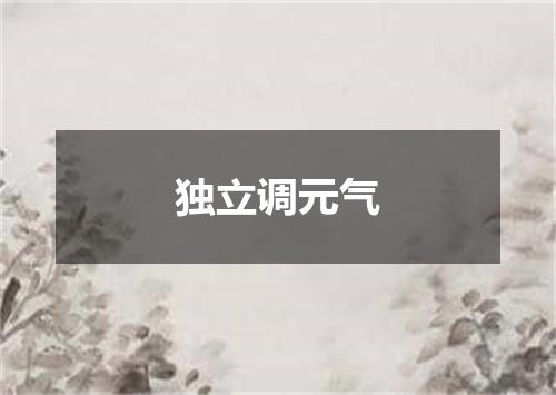 独立调元气